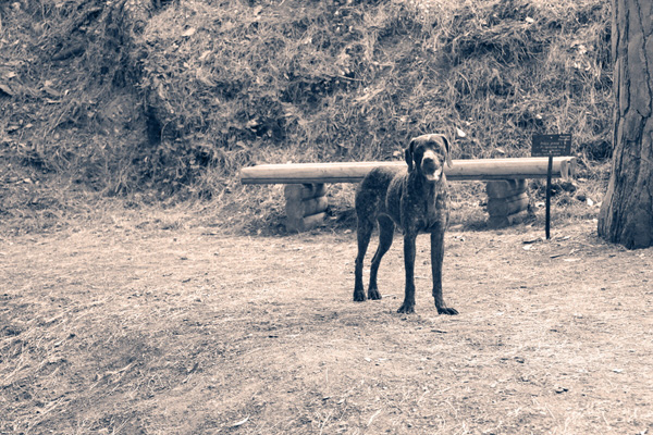 ...