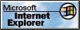 IE 1.0 logo