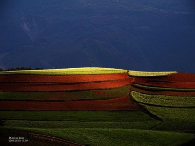 中国楼市会降价